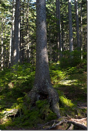 L1007628