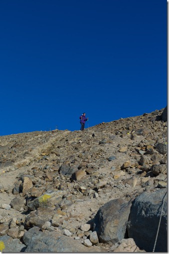 L1007697