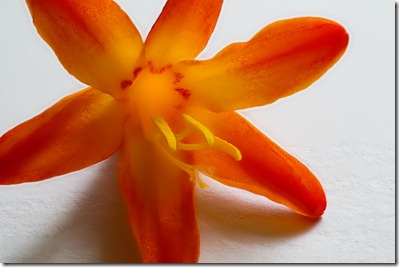 12-02-03_173642_M=A_R=8_S=4