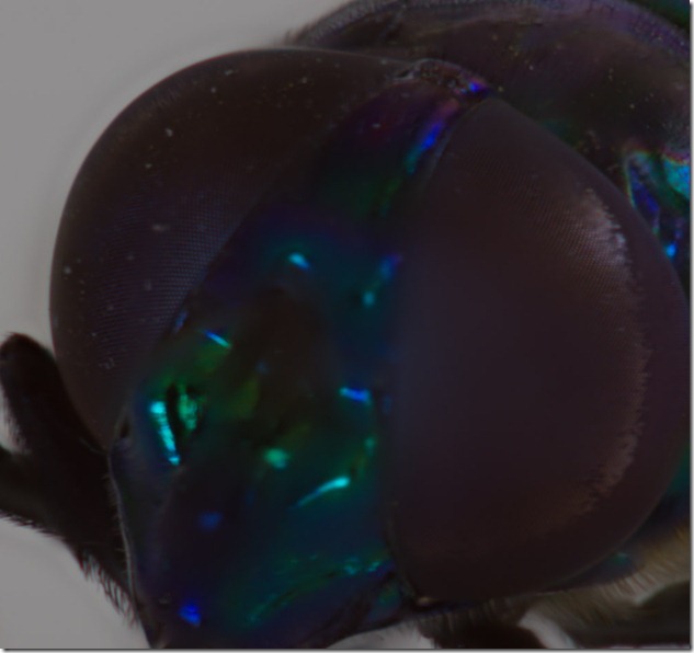 12-03-15_114135_M=A_R=8_S=4-2