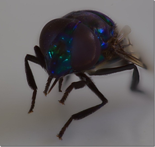 12-03-15_114135_M=A_R=8_S=4