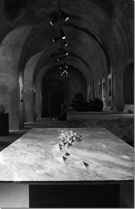 Ausstellung Dragon Back Kopie