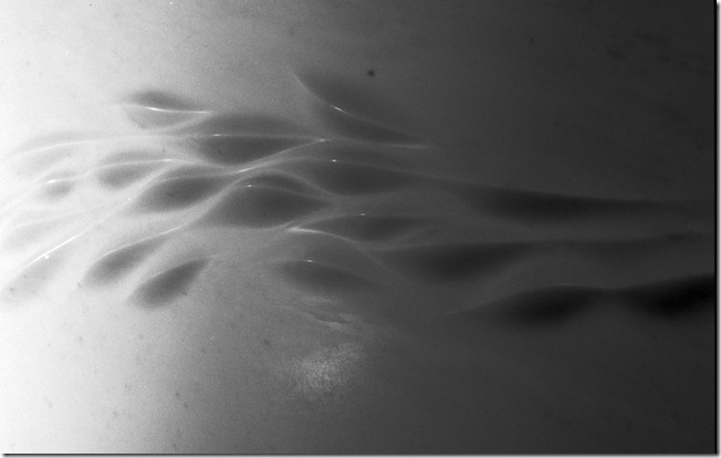 Wellen - nicht so besonders Kopie