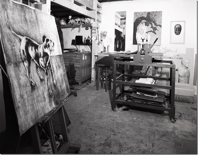 Yorman Studio BW 2400