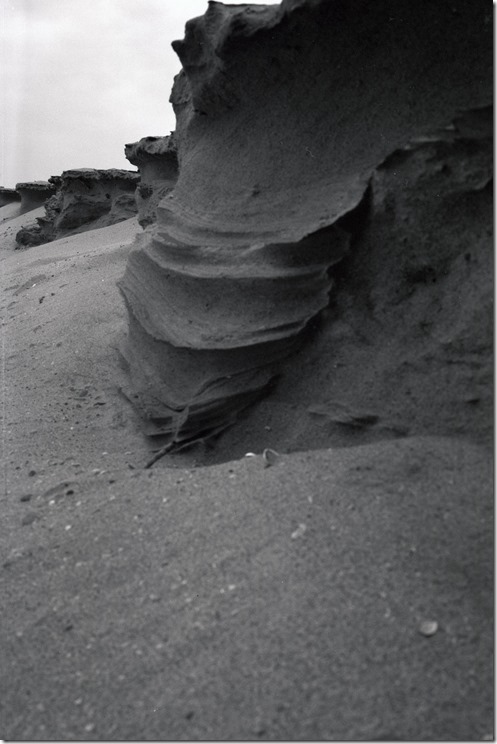 Coastline Sand 1 BW 3200