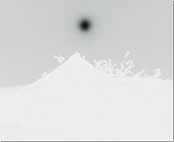 House with Flowers BW 600