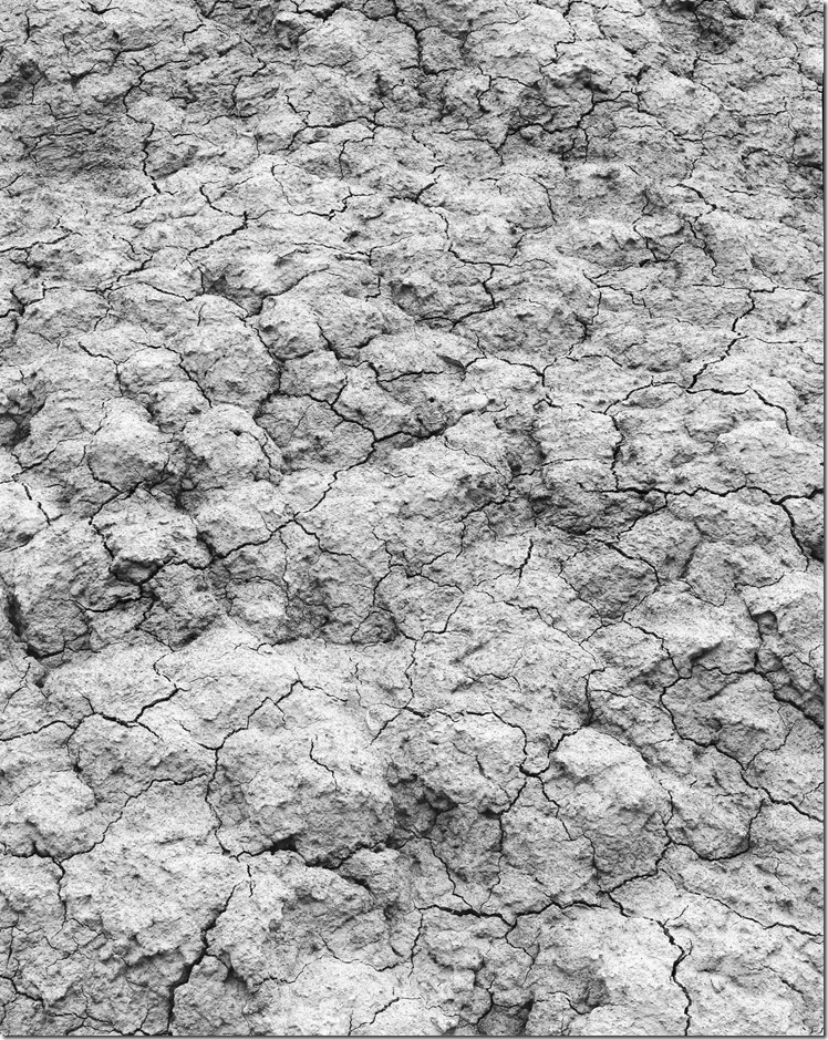 Mudskin Large BW 2400