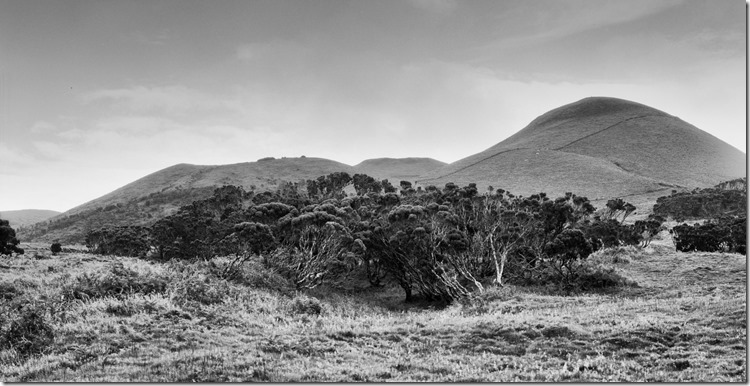African Landscape Azores BW 3200 (Andere)