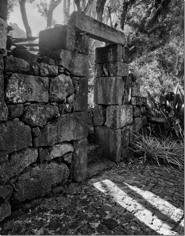 Pico Doors BW 2400 (Andere)