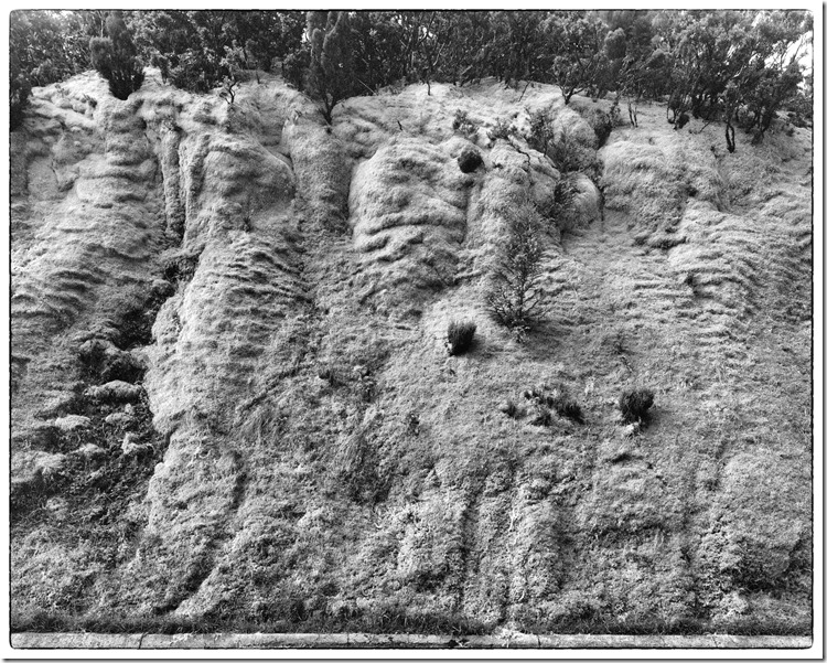 Volcanic Mossy Roadside BW 3200 (Andere)