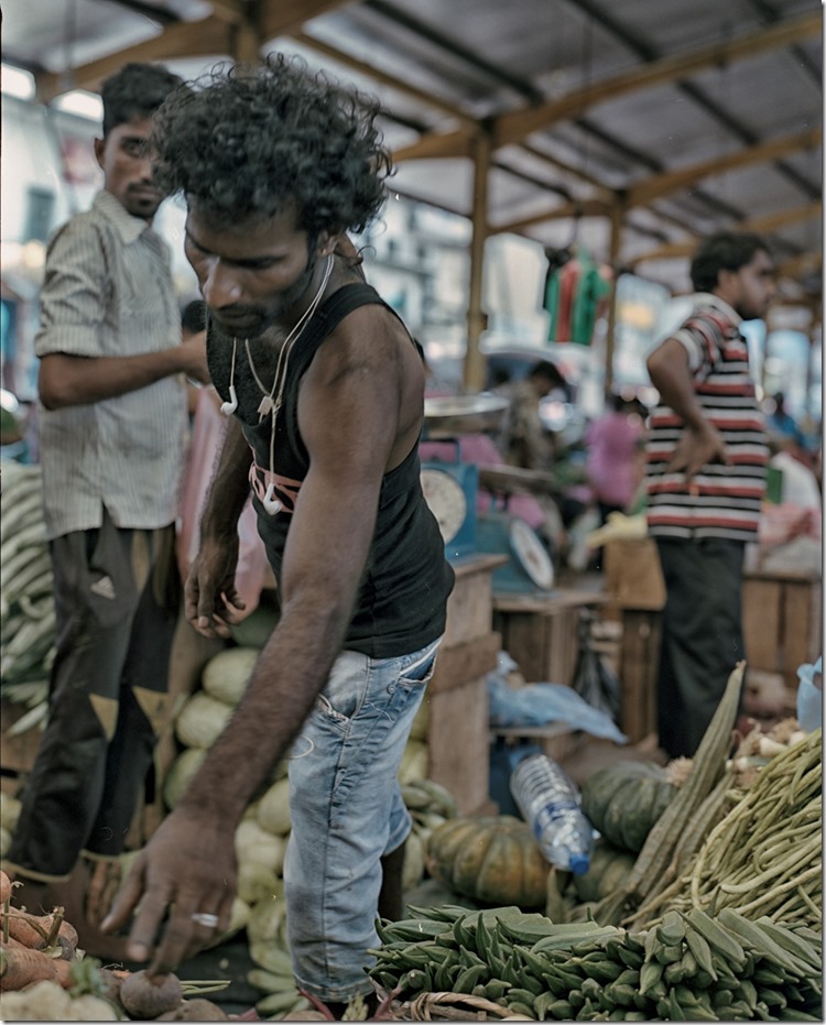 Lanka (11) Focus (Andere)