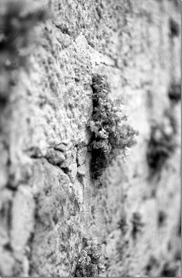 Marburg_May_2015 (15) (Andere)