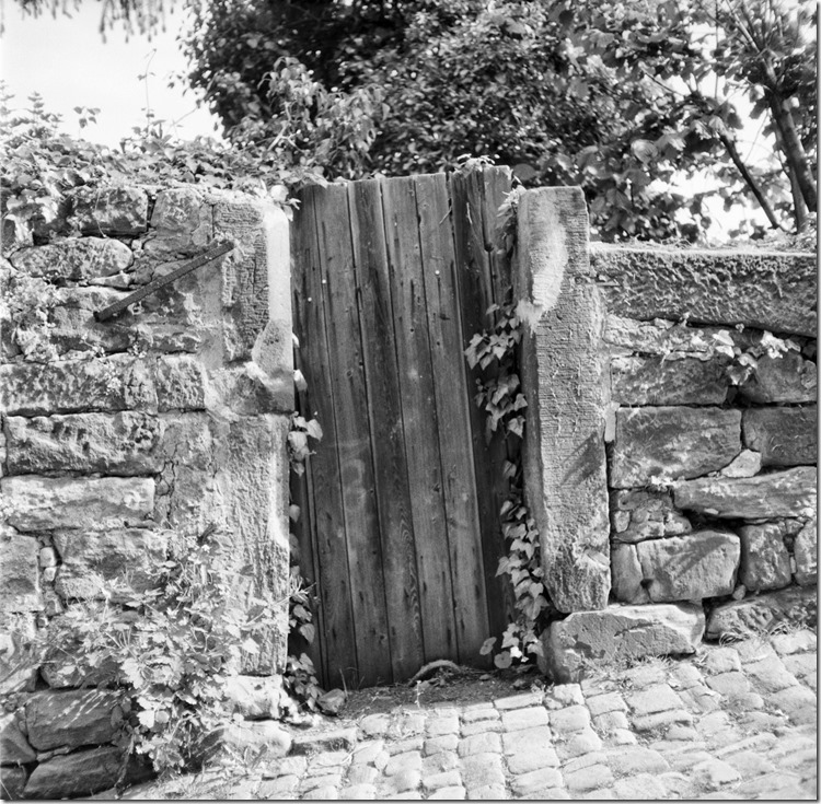 Marburg_May_2015 (21) (Andere)