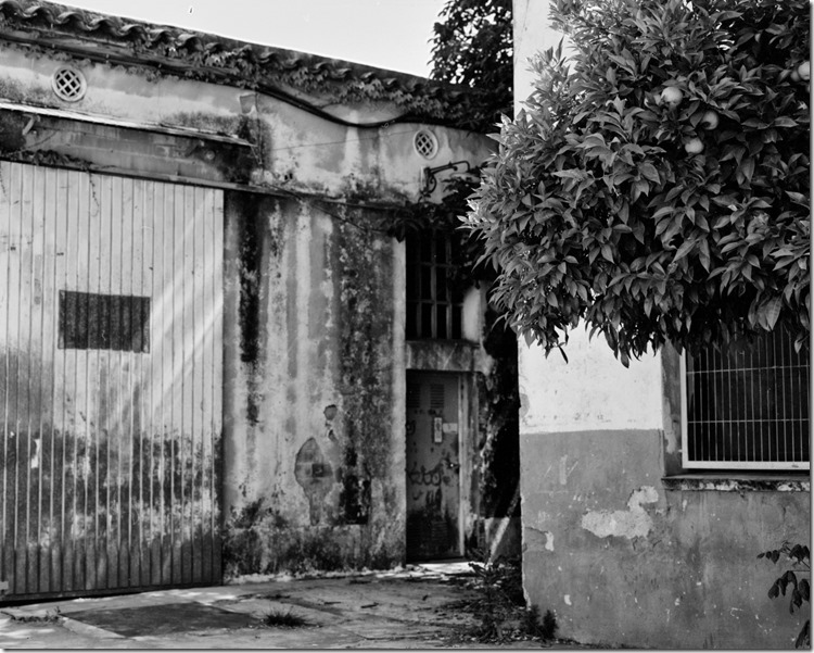 Bispal (12) (Andere)