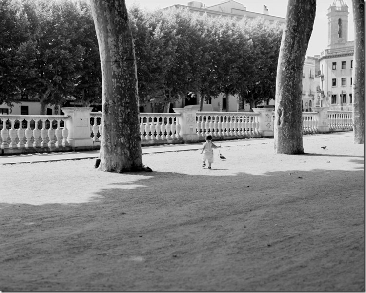 Bispal (15) (Andere)