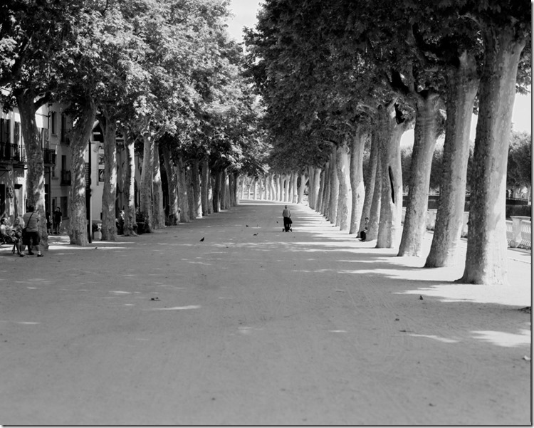 Bispal (20) (Andere)