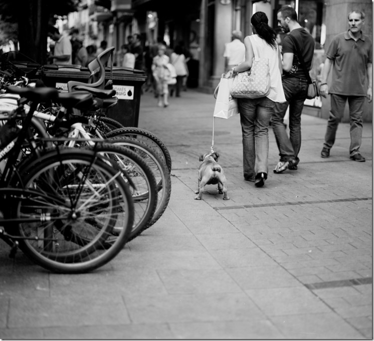 Girona (17) (Andere)