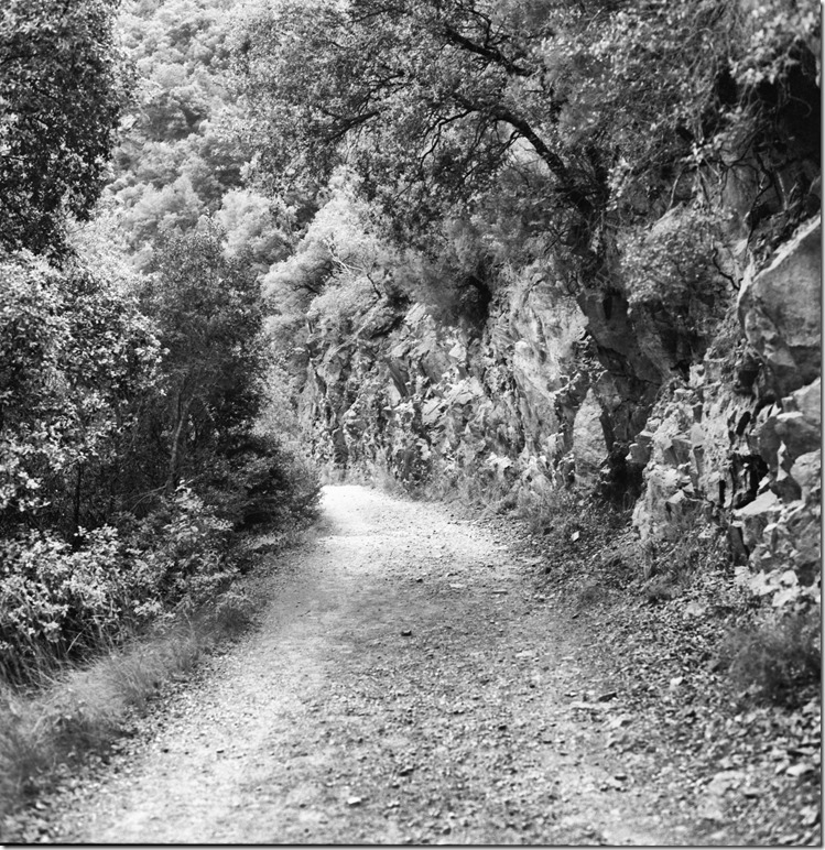 Sant Aniol Hike  (10)