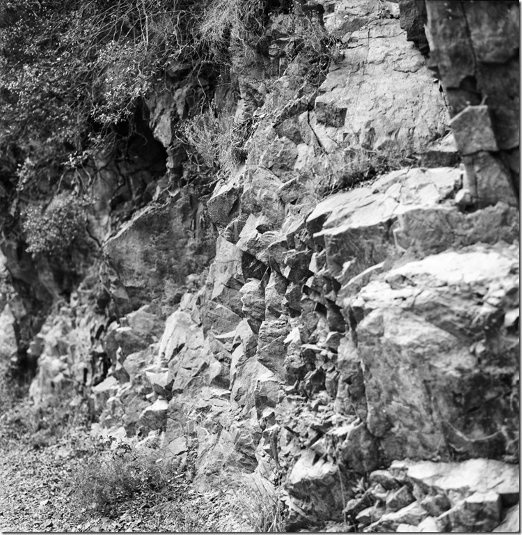 Sant Aniol Hike  (11)