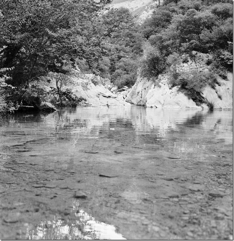 Sant Aniol Hike  (14)