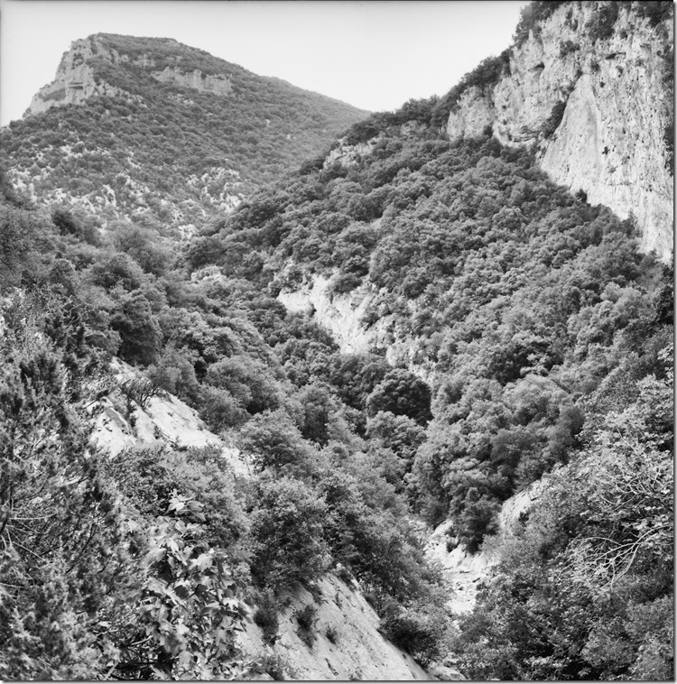 Sant Aniol Hike  (19)