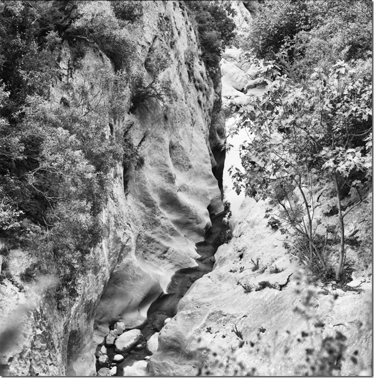 Sant Aniol Hike  (21)