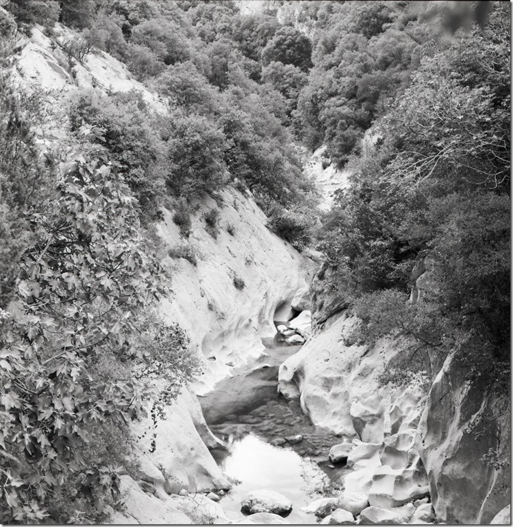 Sant Aniol Hike  (22)