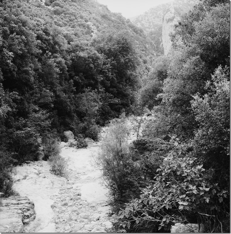 Sant Aniol Hike  (3)