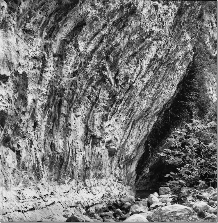 Sant Aniol Hike  (9)