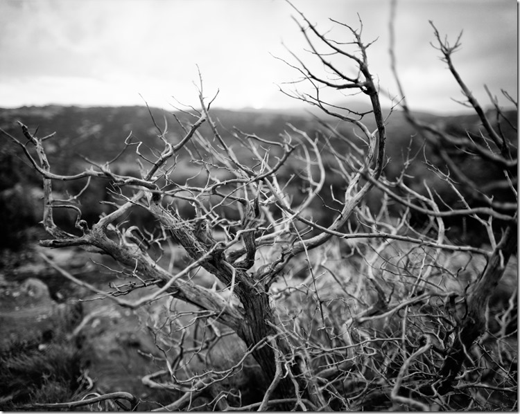 Cadaques (4) (Andere)