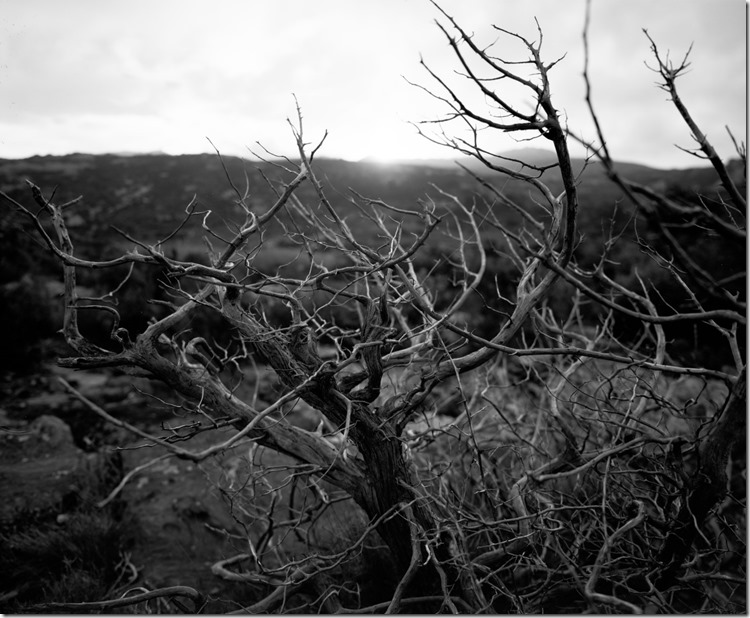 Cadaques (6) (Andere)