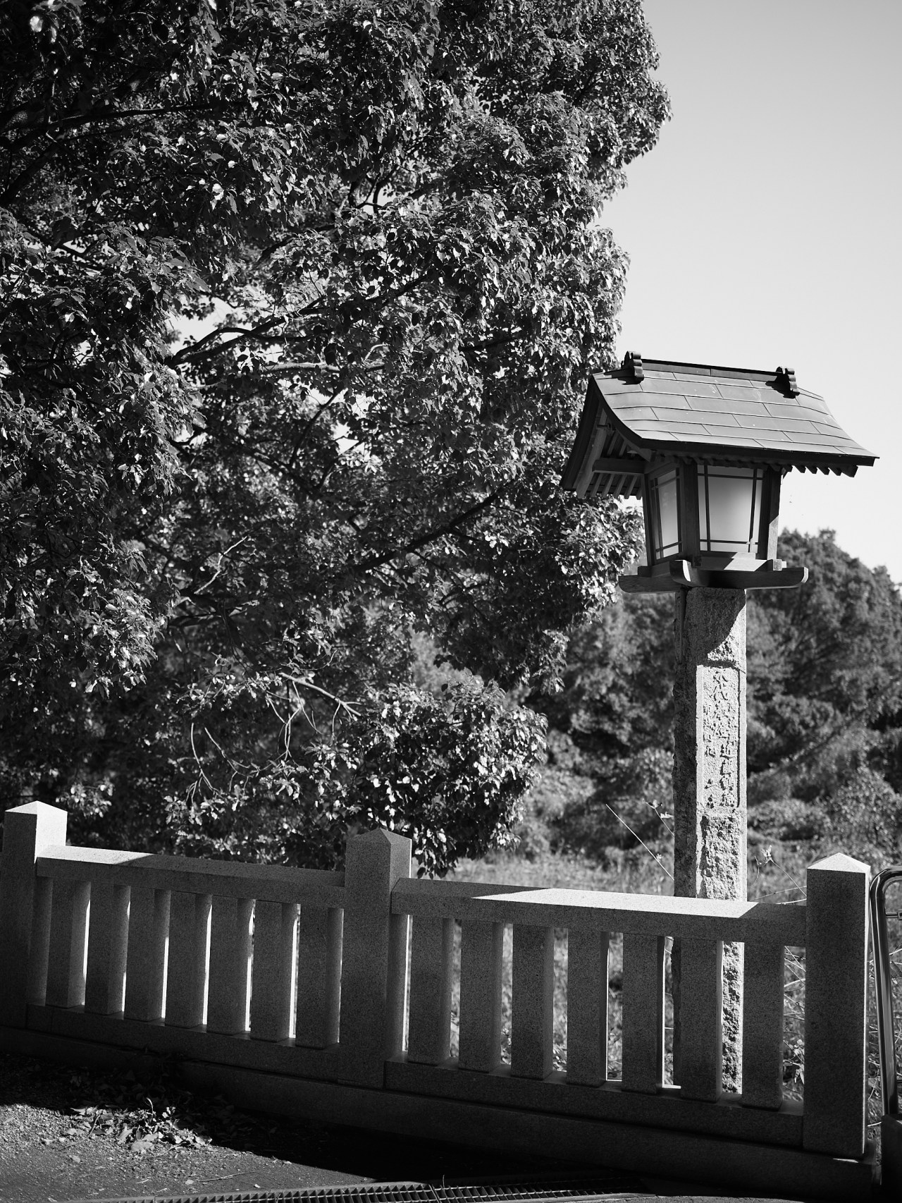 CF000849_2400
