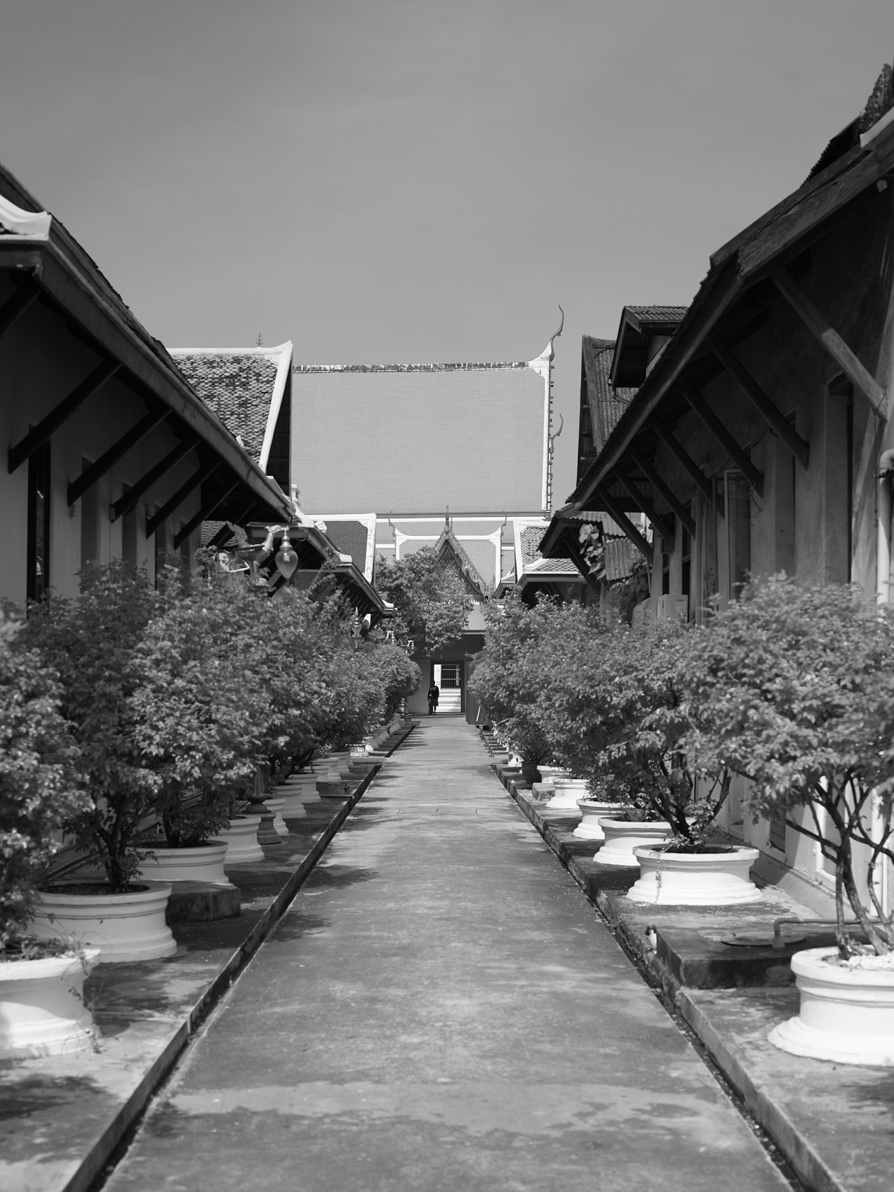 CF001003_2400