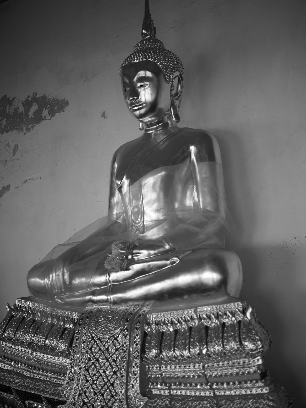 CF001016_2400