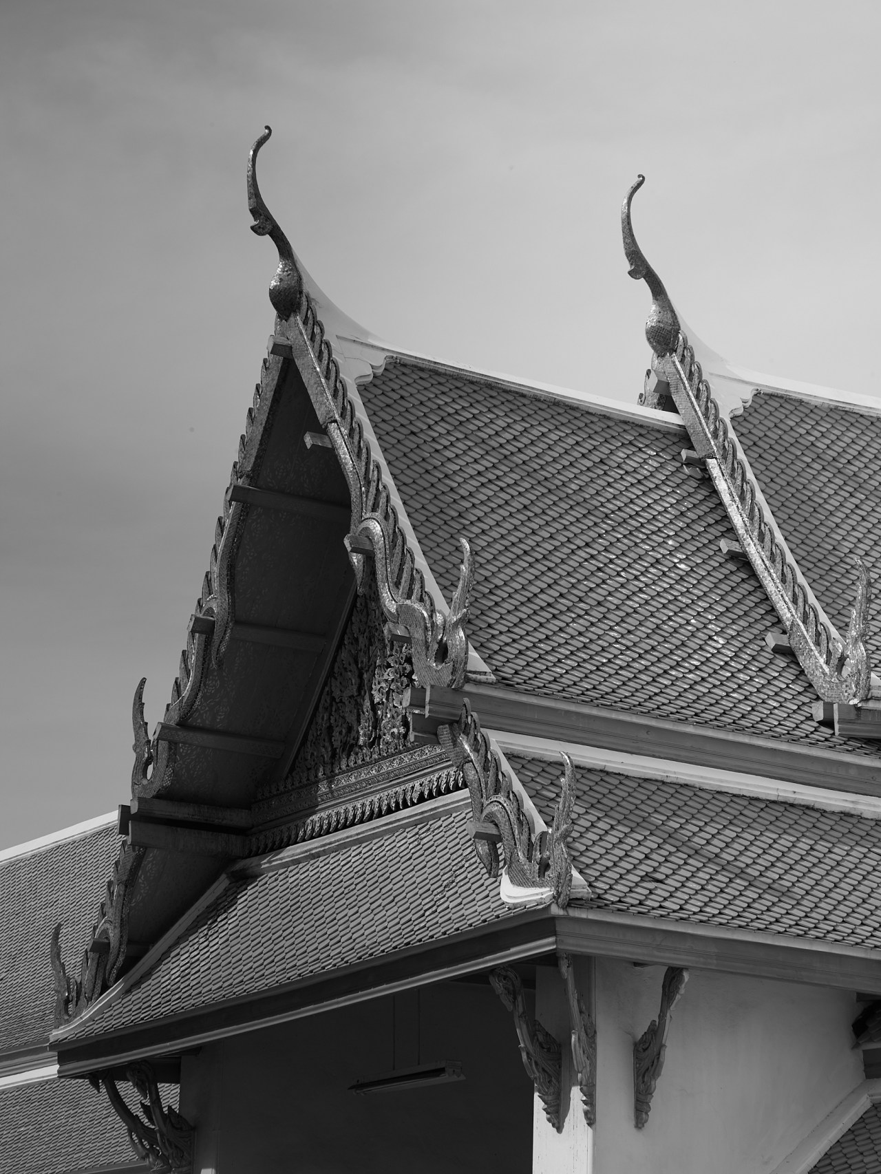 CF001027_2400
