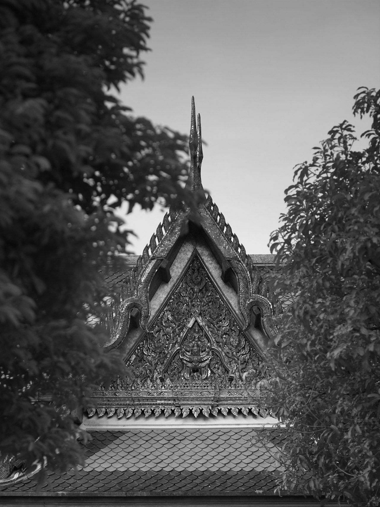 CF001074_2400