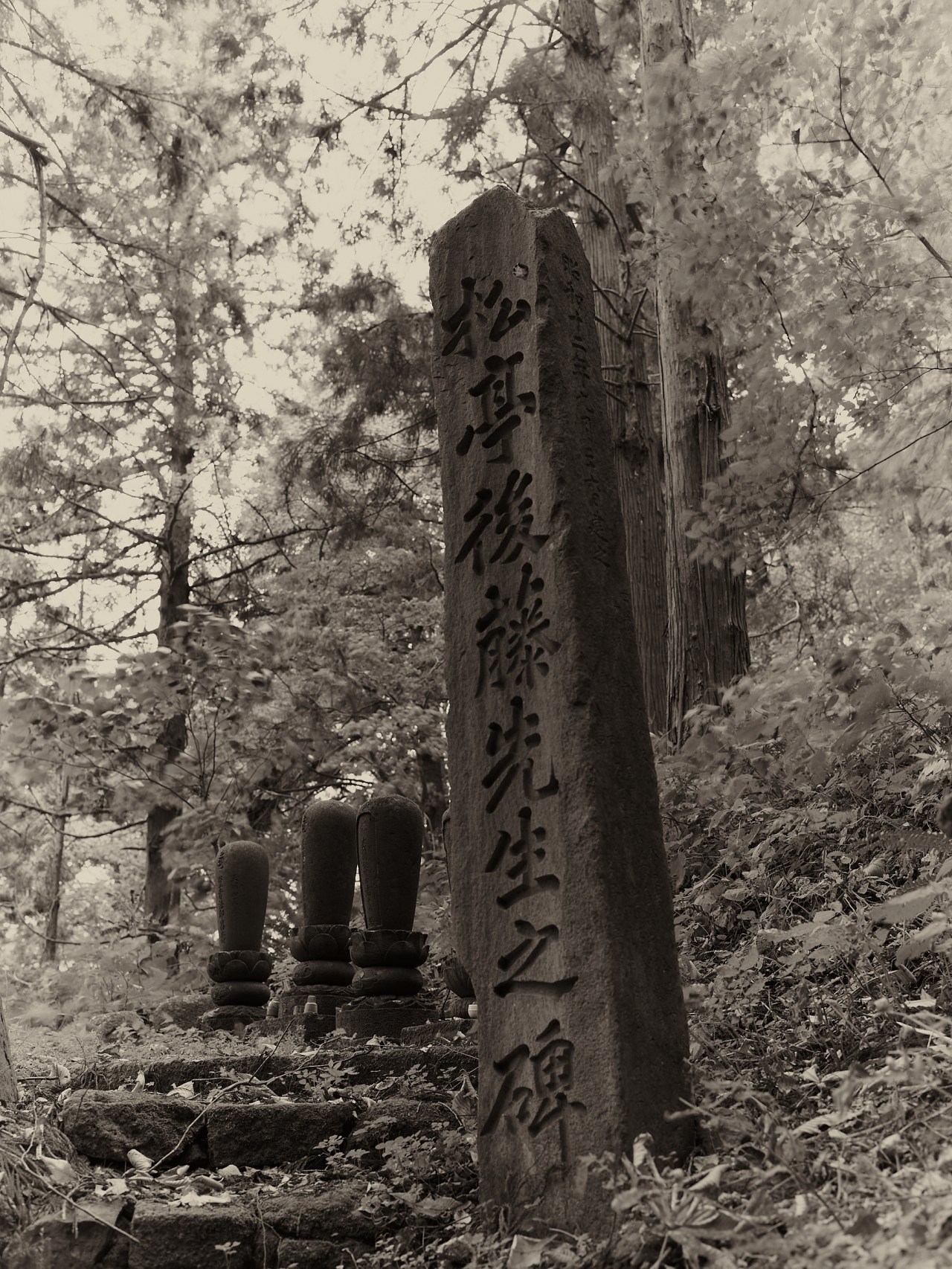 CF001488_2400