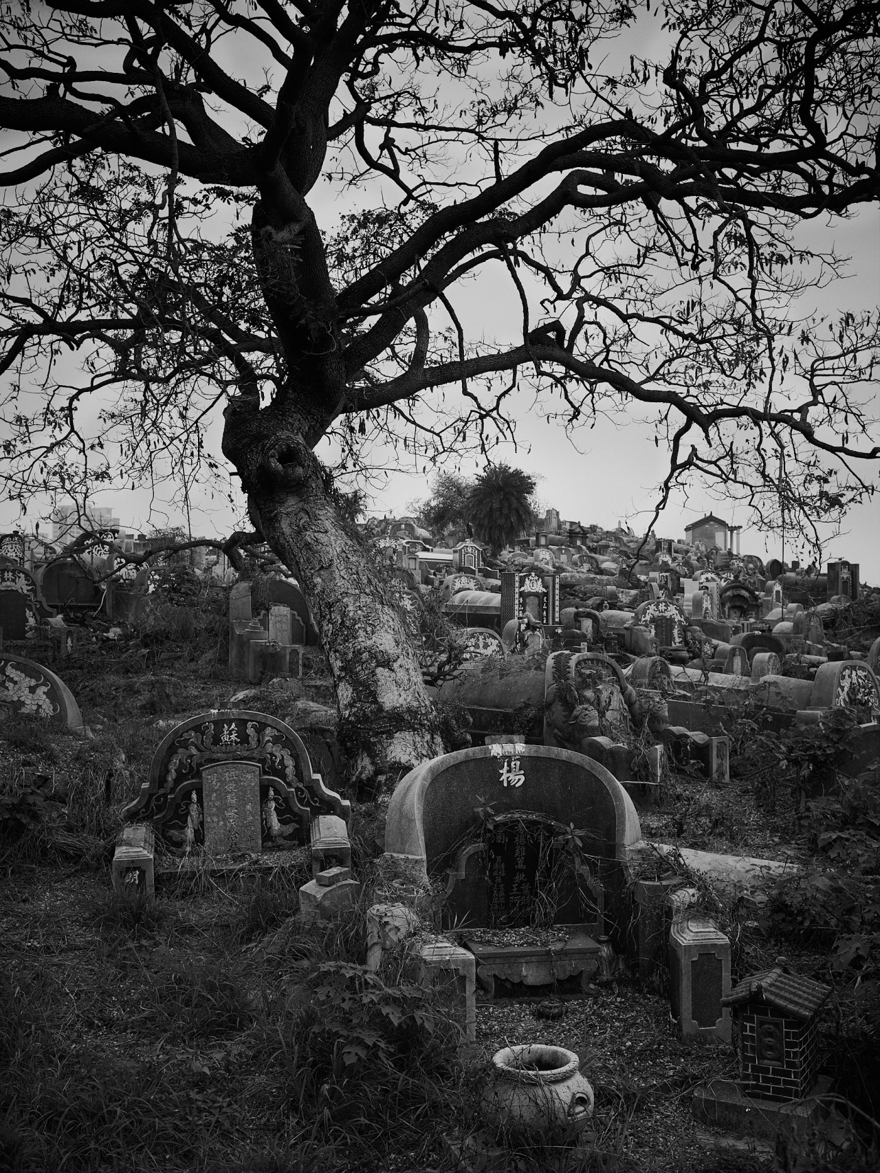 Tainan – Anping Old&nbsp;Graveyard