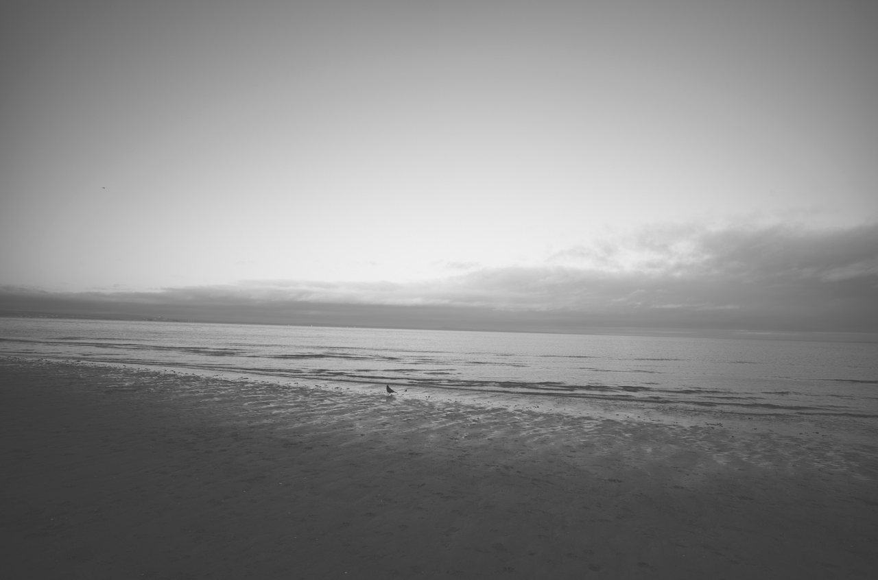 Portobello Beach on a late (cold & wintry) Sunday afternoon
